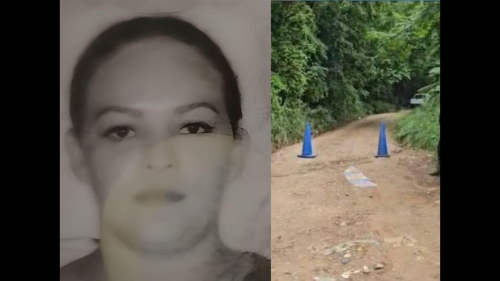 Imagen de cuerpo de nota