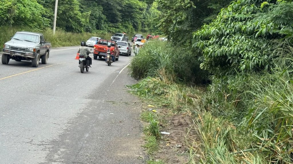 Imagen de cuerpo de nota