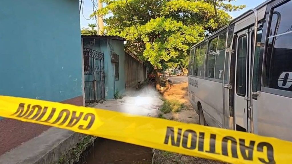 Imagen de cuerpo de nota