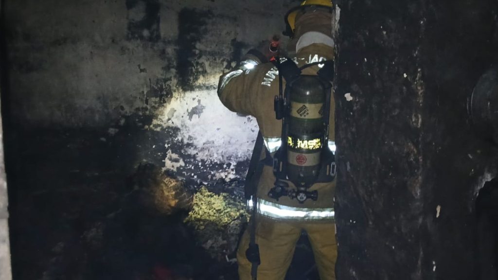 Imagen de cuerpo de nota