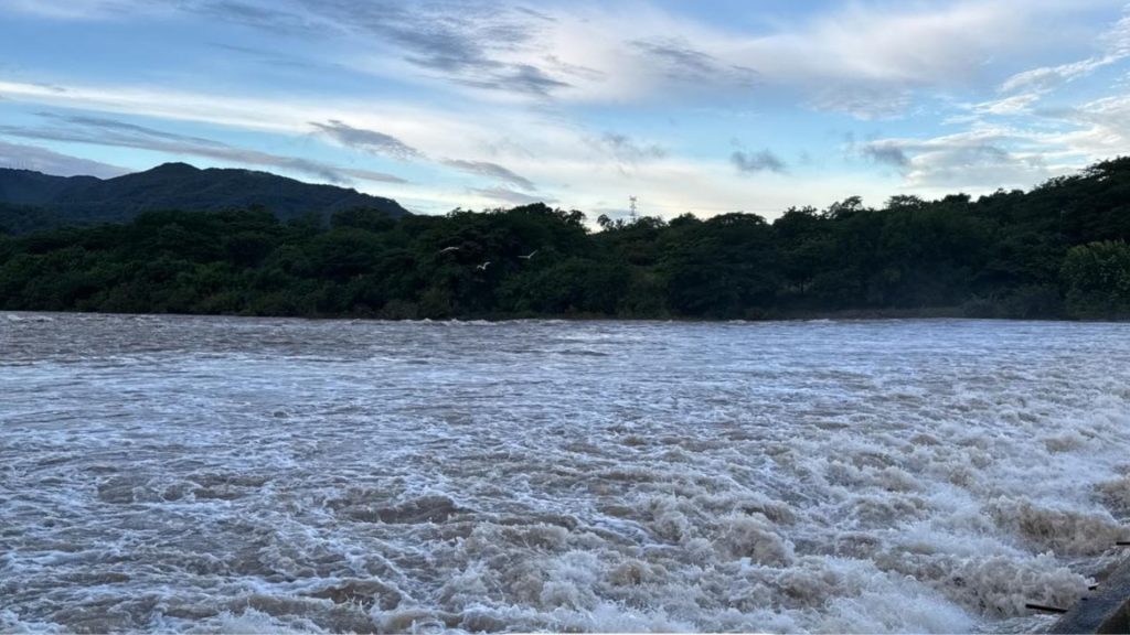 Imagen de cuerpo de nota