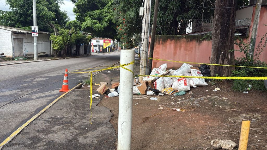 Imagen de cuerpo de nota