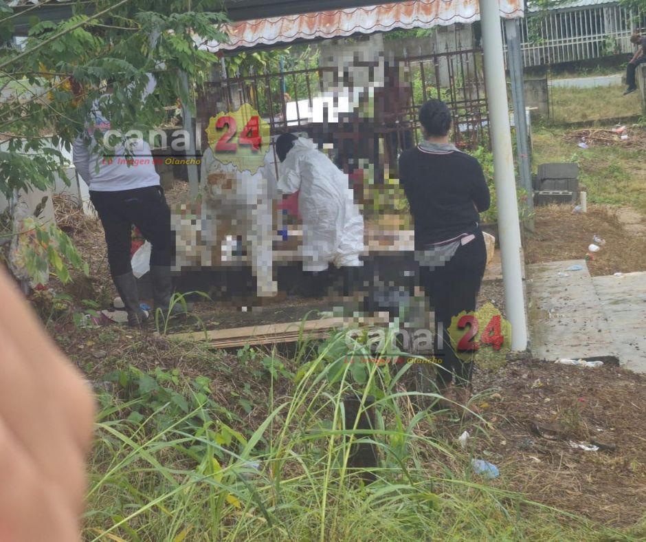 Imagen de cuerpo de nota