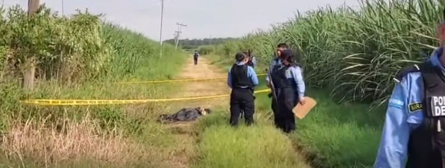 Imagen de cuerpo de nota