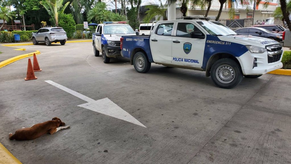 Imagen de cuerpo de nota