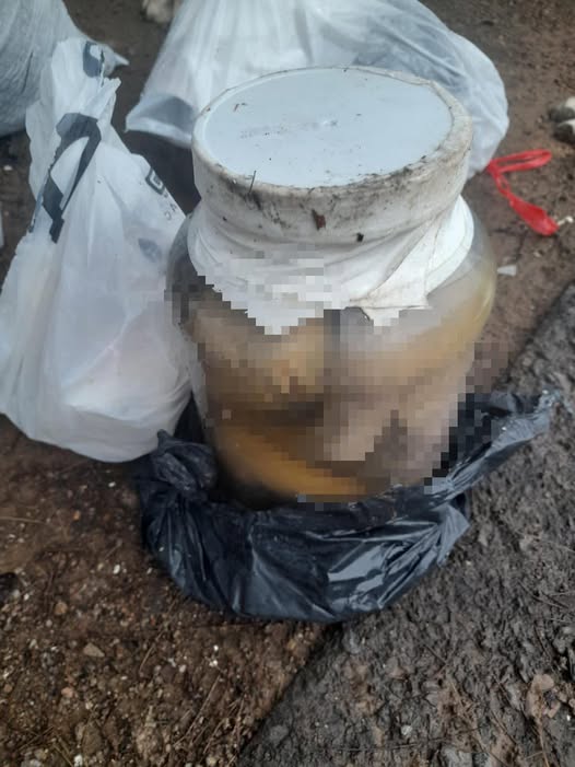 Imagen de cuerpo de nota