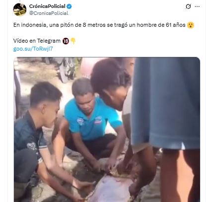 Imagen de cuerpo de nota