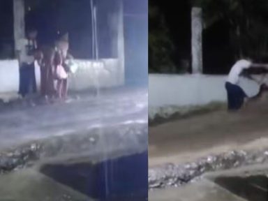VIDEO: Menores arriesgan su vida por recuperar un 'pollo chuco' en San Pedro Sula