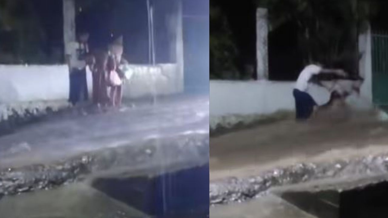 VIDEO: Menores arriesgan su vida por recuperar un 'pollo chuco' en San Pedro Sula