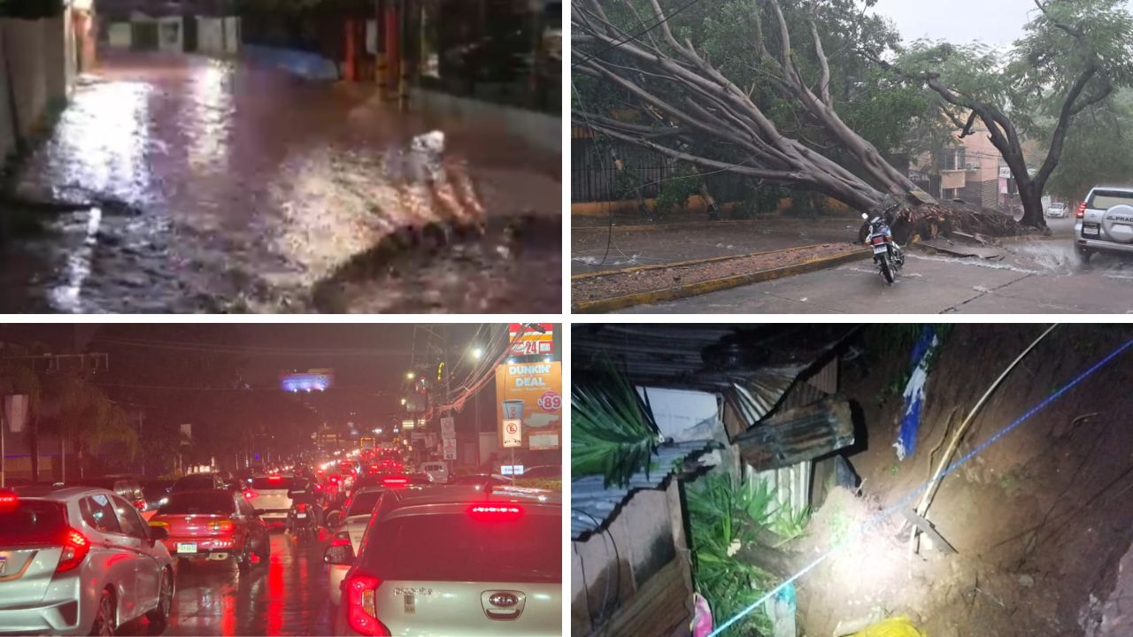 Caos por lluvias en la capital hondureña: inundaciones, caída de árboles y embotellamientos