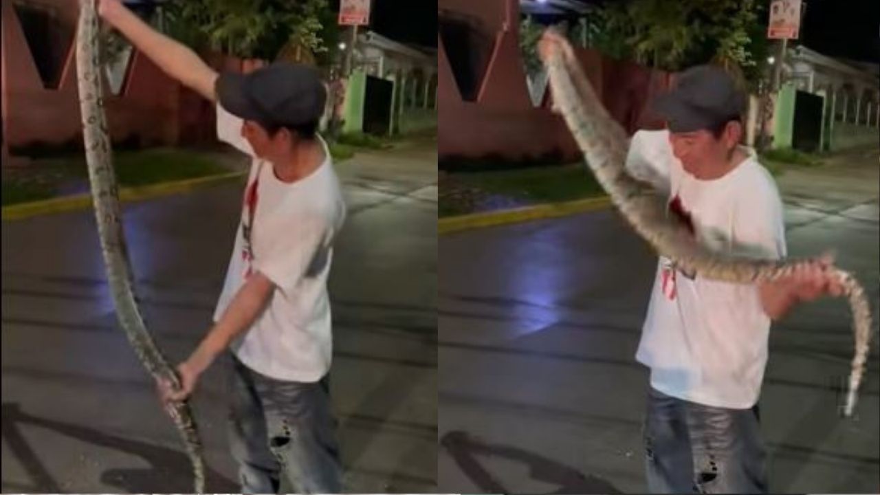 VIDEO: Un hondureño causa asombro al morder una serpiente en Santa Bárbara