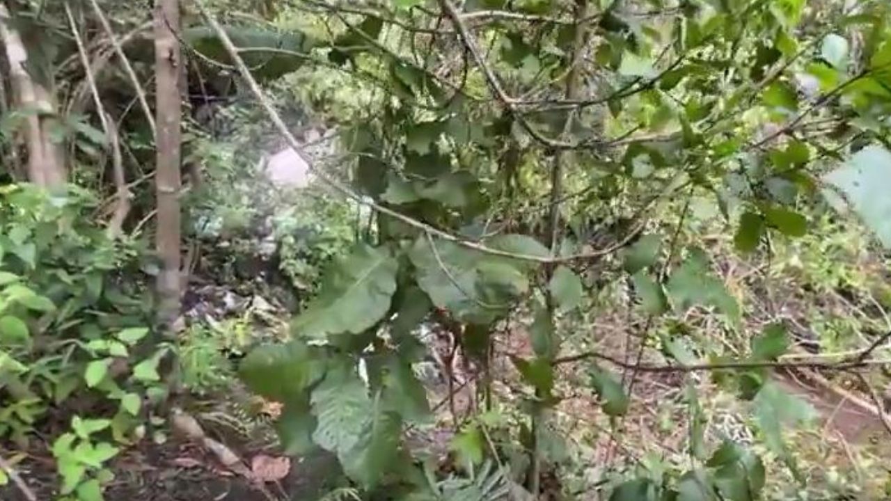 Raptan a dos jóvenes en Mateo, uno aparece sin vida y semidesnudo