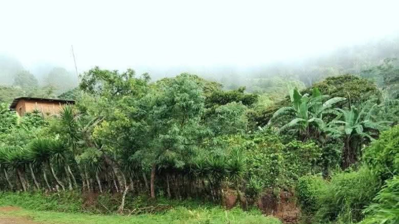 Advierten que las lluvias volverán con fuerza en estas zonas de Honduras