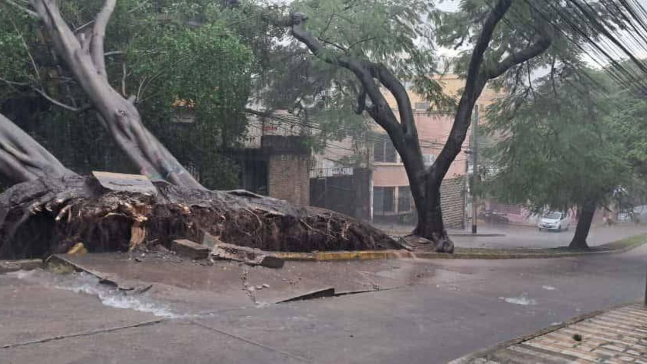 Actualizan alertas y prevén en qué zonas seguirán las lluvias el resto de la semana