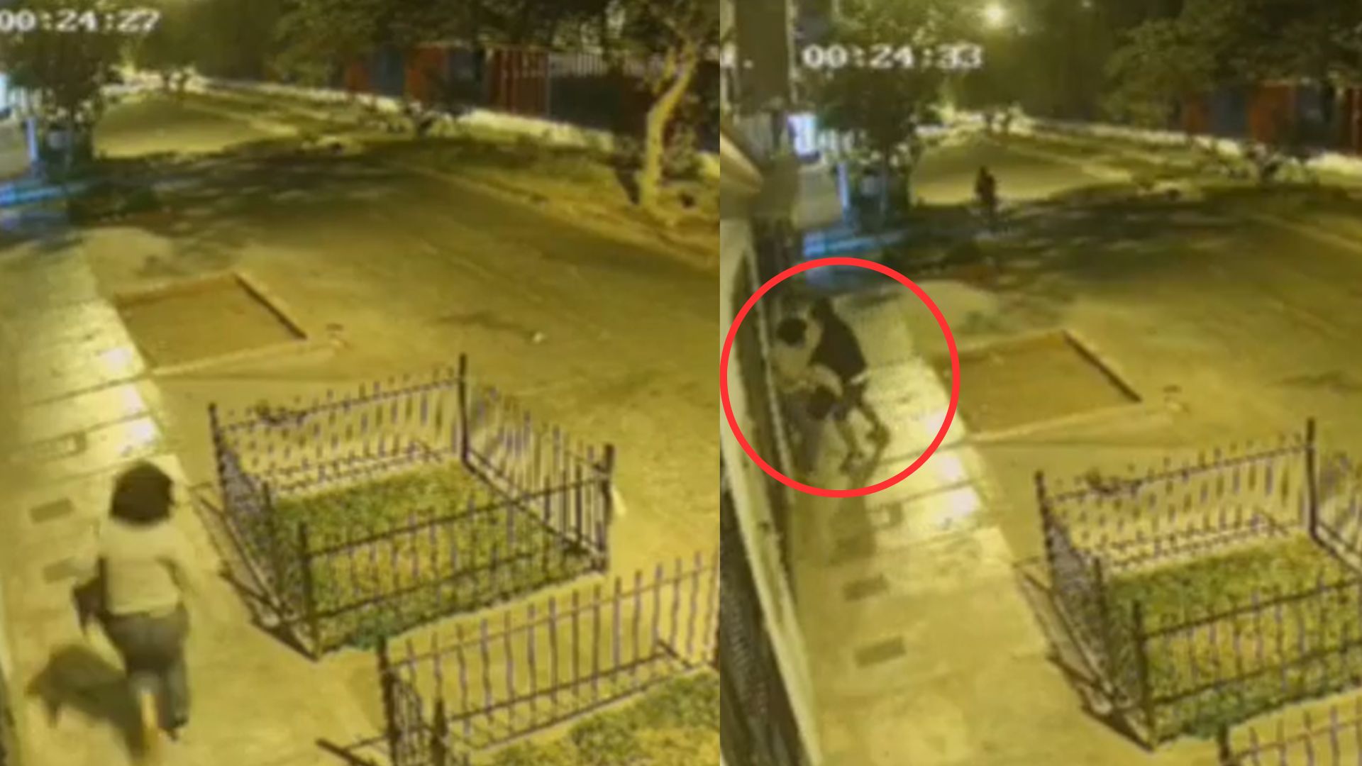 VIDEO: 'Mamá, nos siguen', matan a mujer y a su hija por asaltarlas