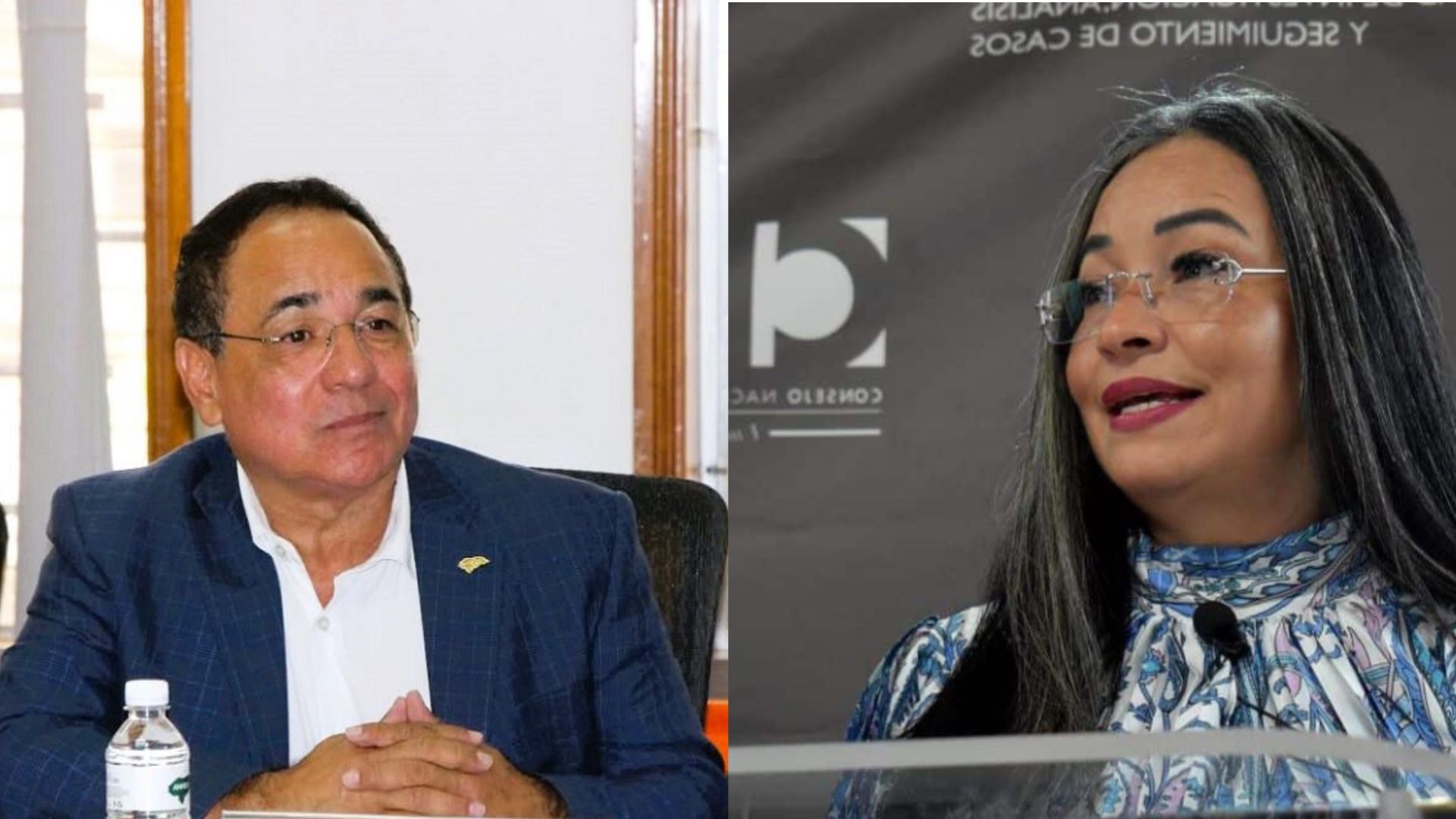 ¿Quién es Nelson Licona, nuevo coordinador del CNA?  y ¿qué pasa con Gabriela Castellanos?