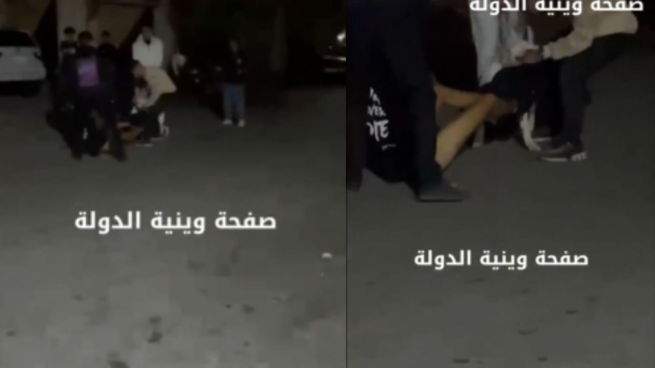 SENSIBLE VIDEO: Cachorro pitbull ataca partes íntimas de adolescente