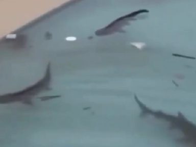 Imagen de Subcategoria de Negocios y Finanzas