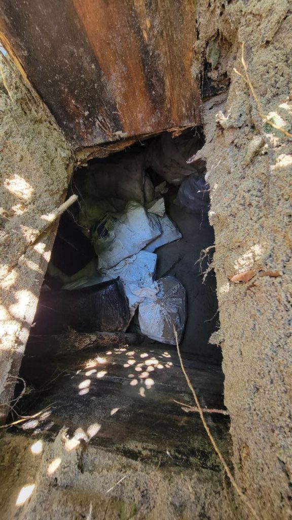 Imagen de cuerpo de nota