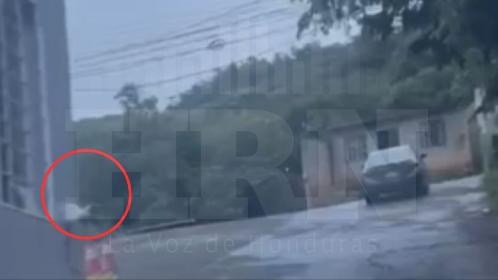 Imagen de cuerpo de nota