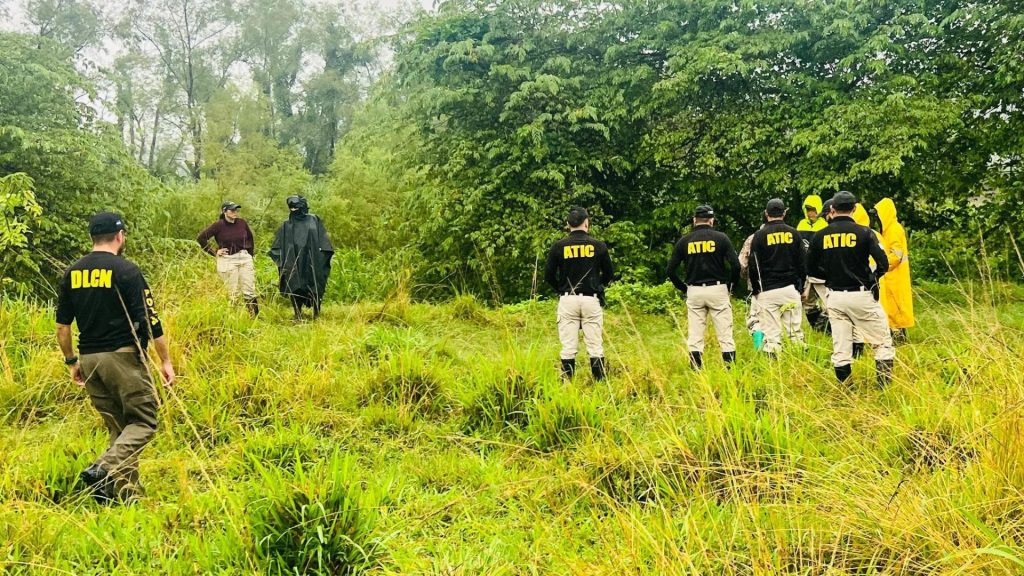 Imagen de cuerpo de nota