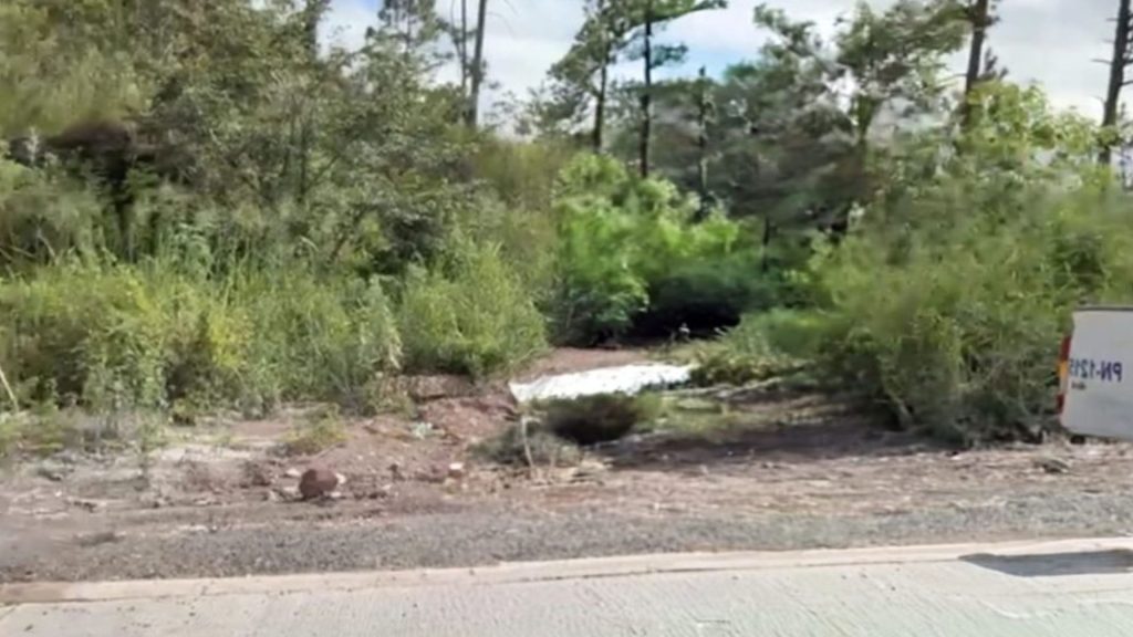 Imagen de cuerpo de nota