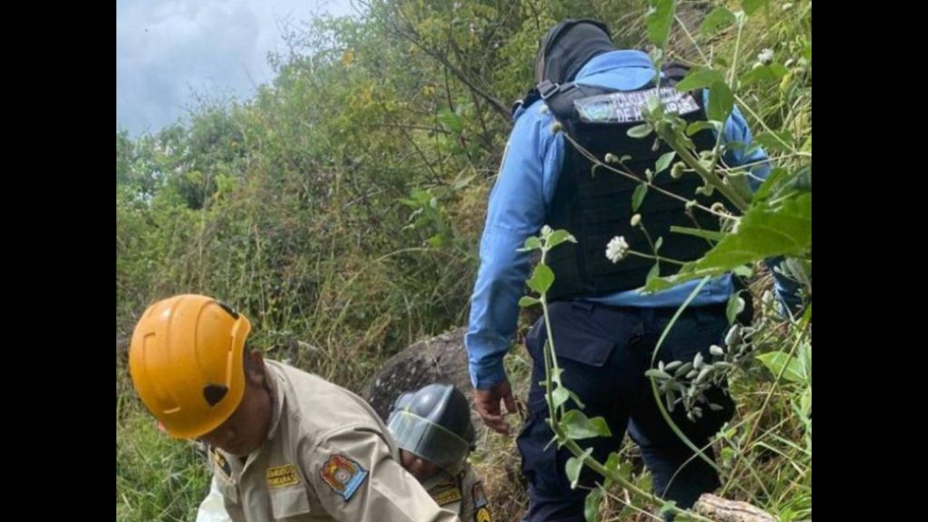 Imagen de cuerpo de nota