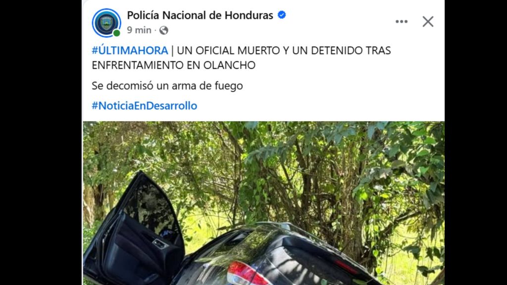 Imagen de cuerpo de nota