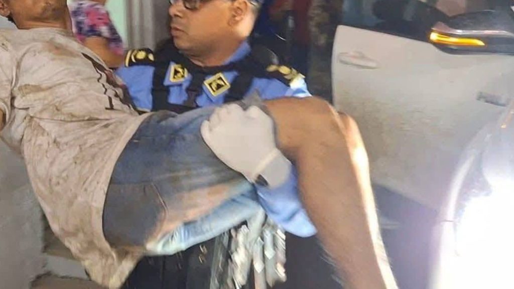 Imagen de cuerpo de nota