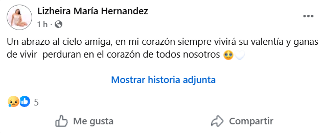 Captura de pantalla del comentario