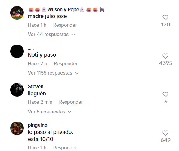 Captura de pantalla de los comentarios donde se lee 'video madre Julio José'
