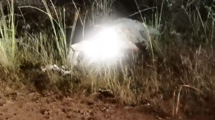 Imagen de cuerpo de nota