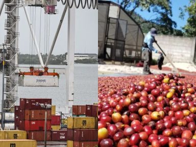 Imagen de Subcategoria de Negocios y Finanzas