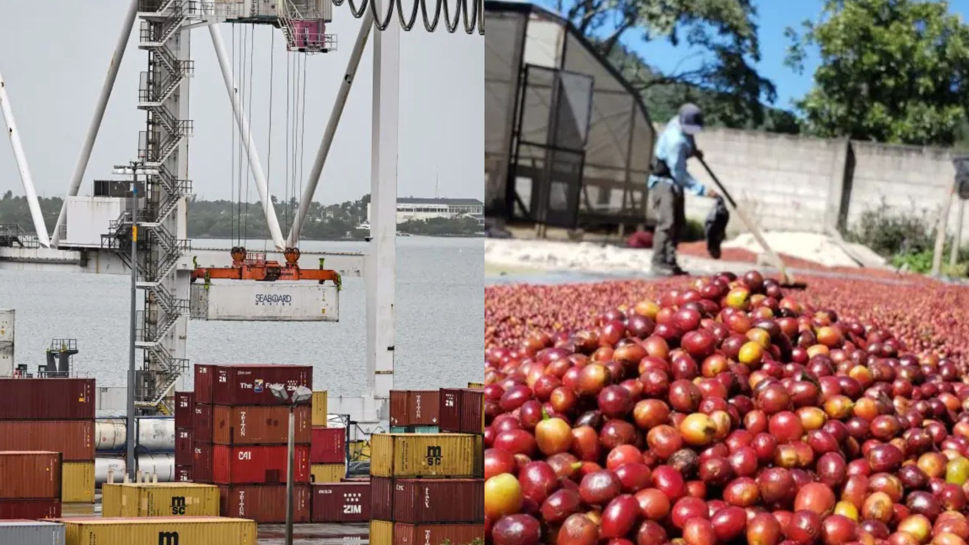 Advierten que arancel de EE.UU. golpeará exportaciones y empleo en Honduras