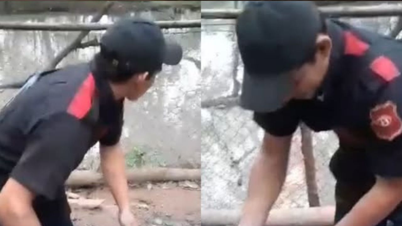 Caso del guardia acusado de maltrato animal en Cortés tomaría un nuevo giro