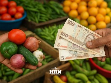 Imagen de Subcategoria de Negocios y Finanzas