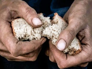 Imagen de Subcategoria de Negocios y Finanzas