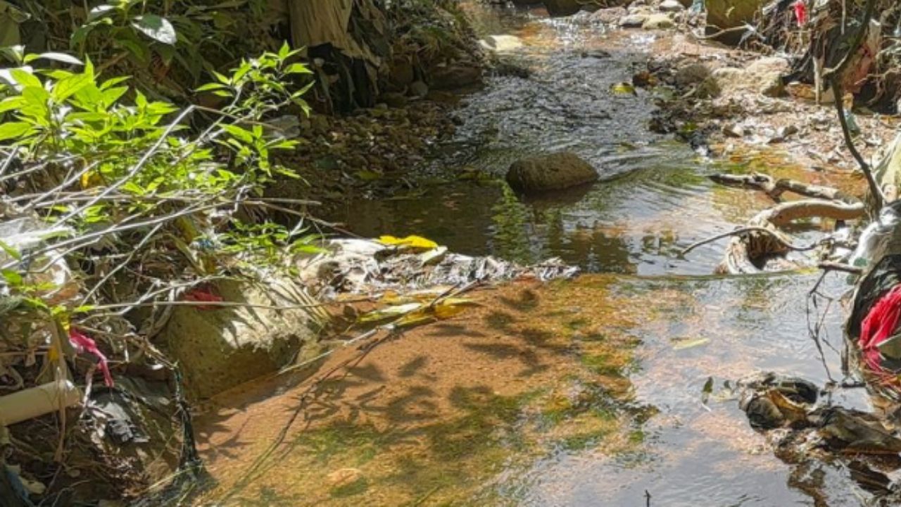 ¿De quién es el cuerpo en descomposición hallado en una quebrada de la capital