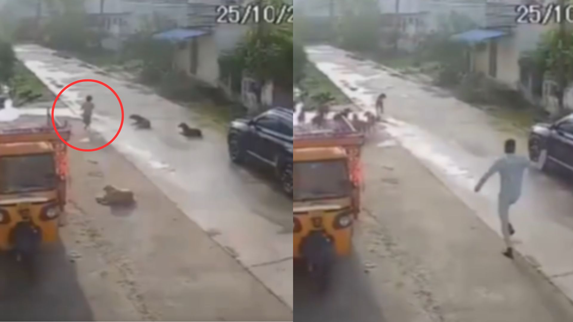 '¡Papi, venga, ayúdeme!': niña de 7 años se escapa de su casa y es atacada