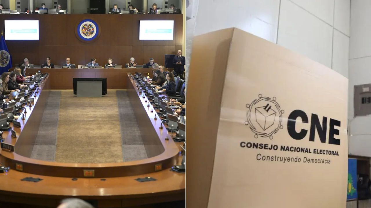 Piden a la OEA una sesión extraordinaria sobre elecciones generales de Honduras 2025