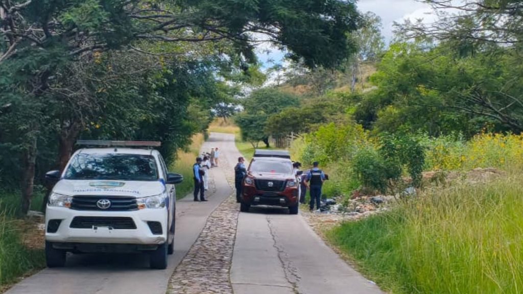 Imagen de cuerpo de nota