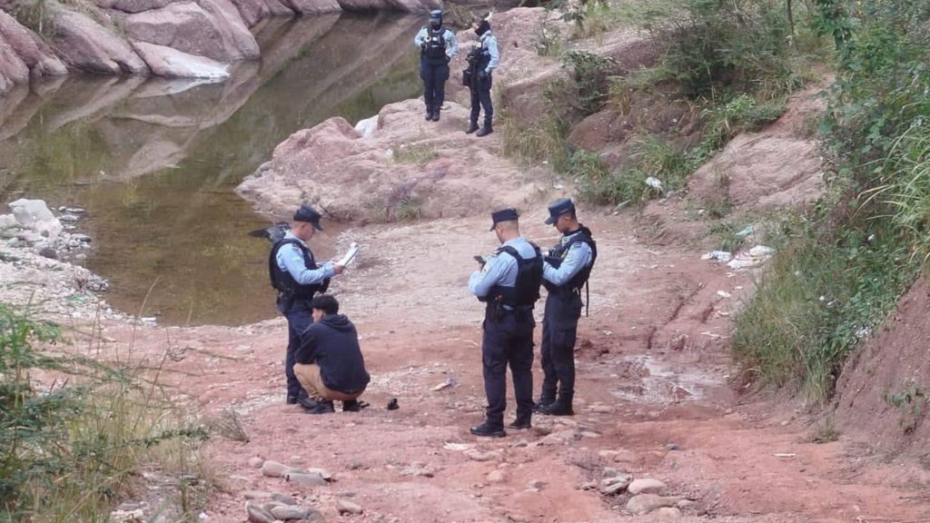 Imagen de cuerpo de nota