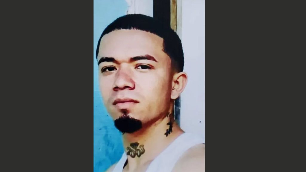 Imagen de cuerpo de nota