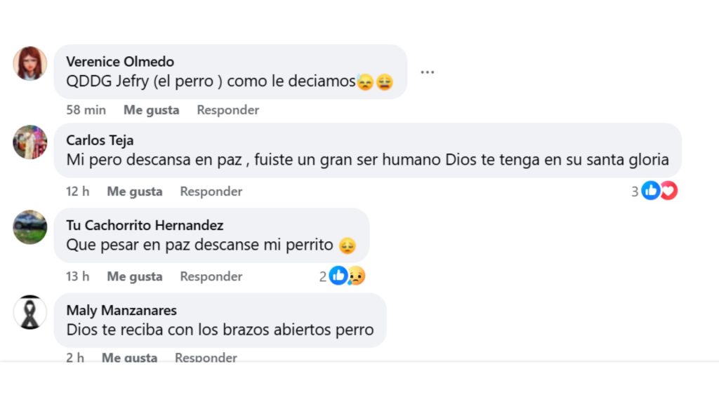 Imagen de cuerpo de nota