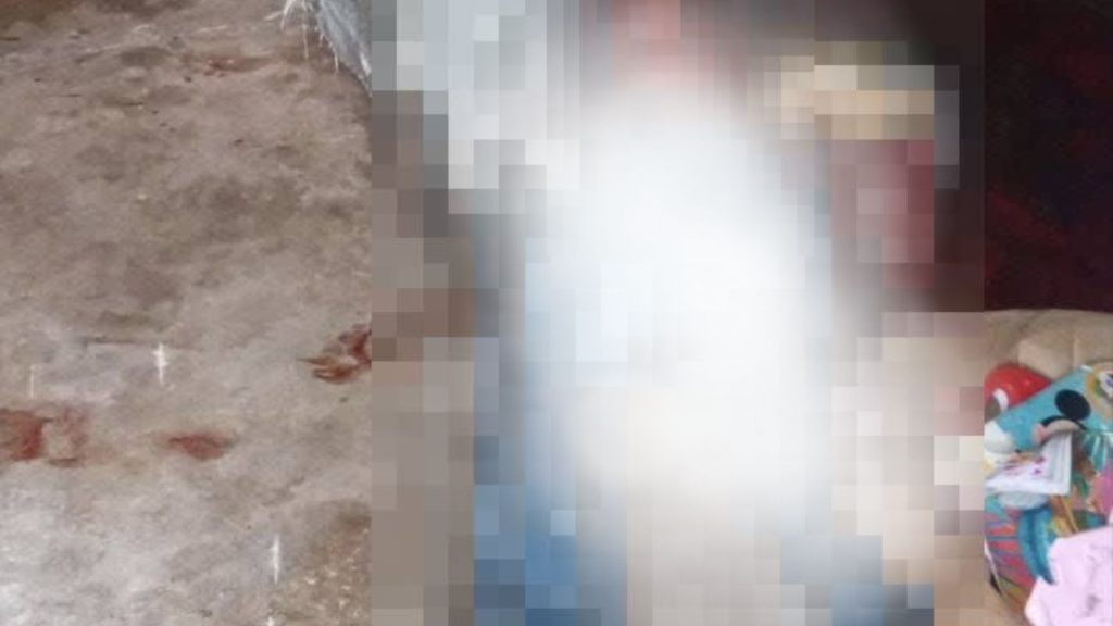 Imagen de cuerpo de nota