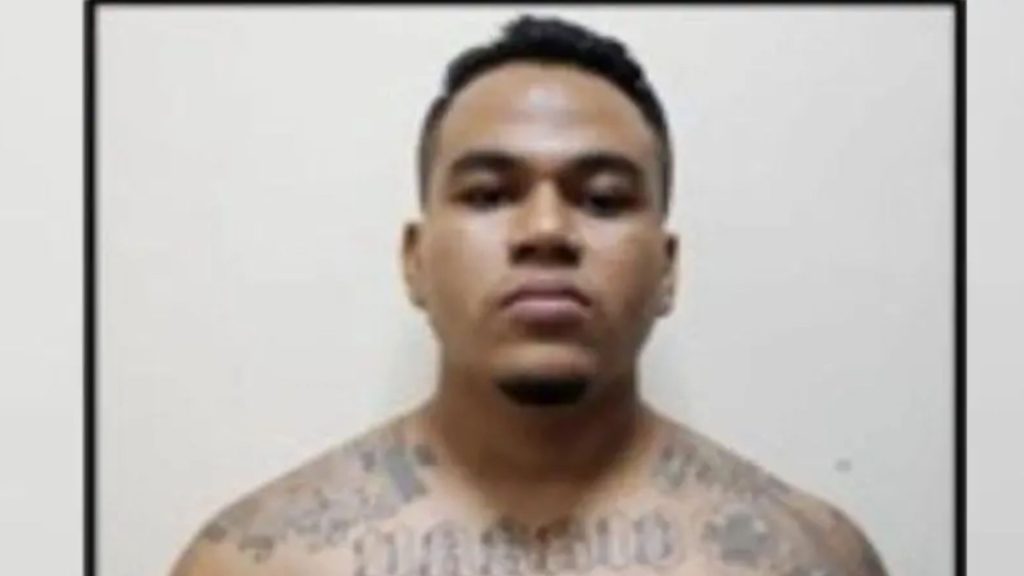 Imagen de cuerpo de nota