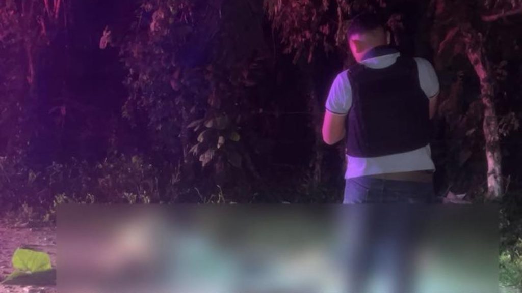 Imagen de cuerpo de nota