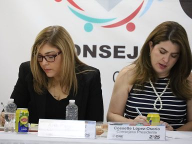 ¿Qué determinó el pleno del CNE para avalar la declaratoria presidencial?