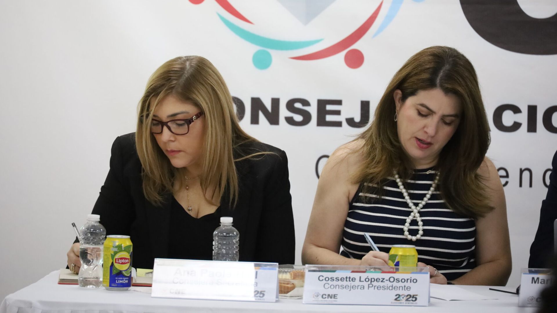 ¿Qué determinó el pleno del CNE para avalar la declaratoria presidencial?