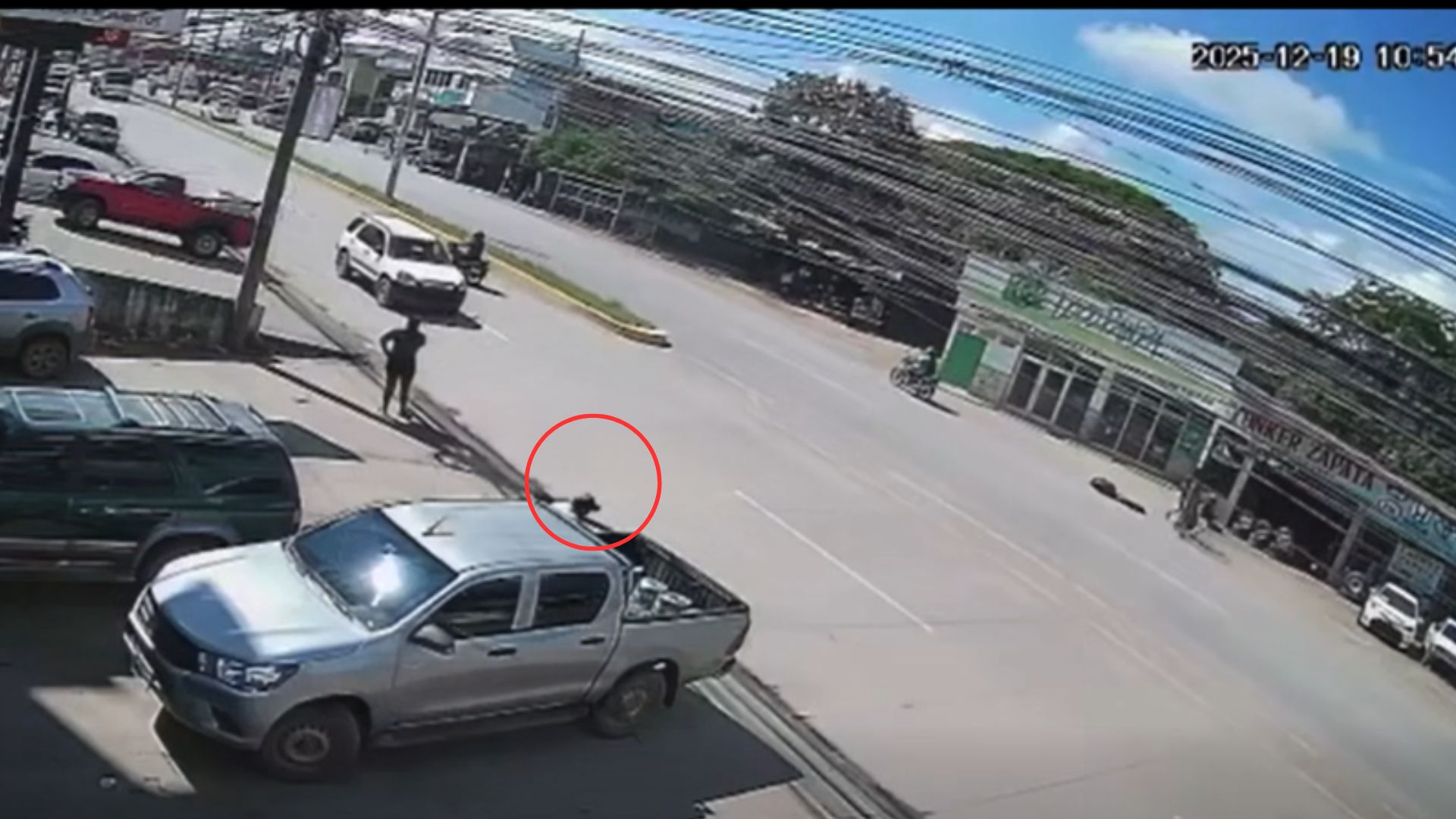 VIDEO: A plena luz del día, roban L150 mil de un carro en parqueo de plaza comercial en Olancho